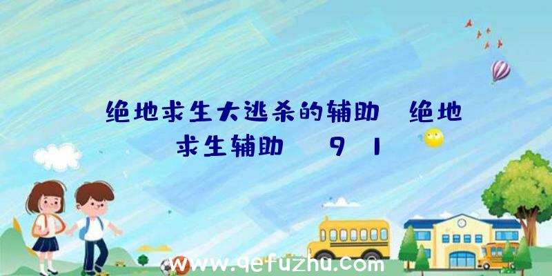 「绝地求生大逃杀的辅助」|绝地求生辅助rng9.1